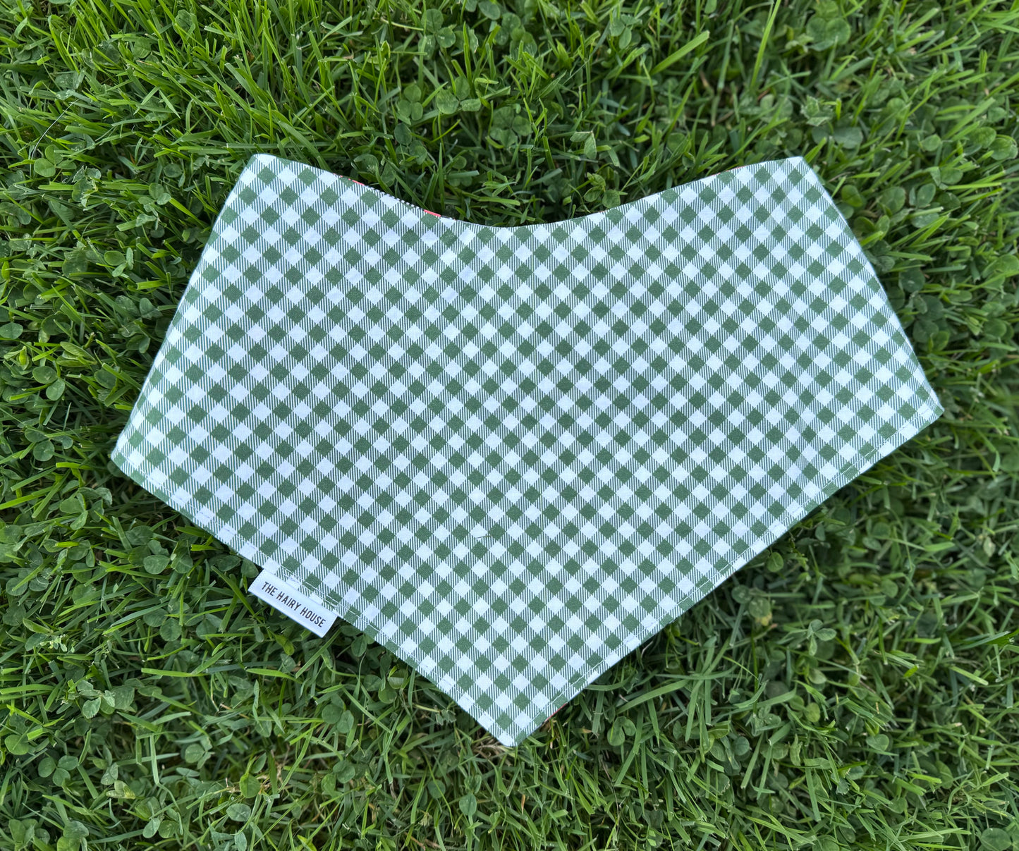 Bandana - Wunderbar Dog Bandana