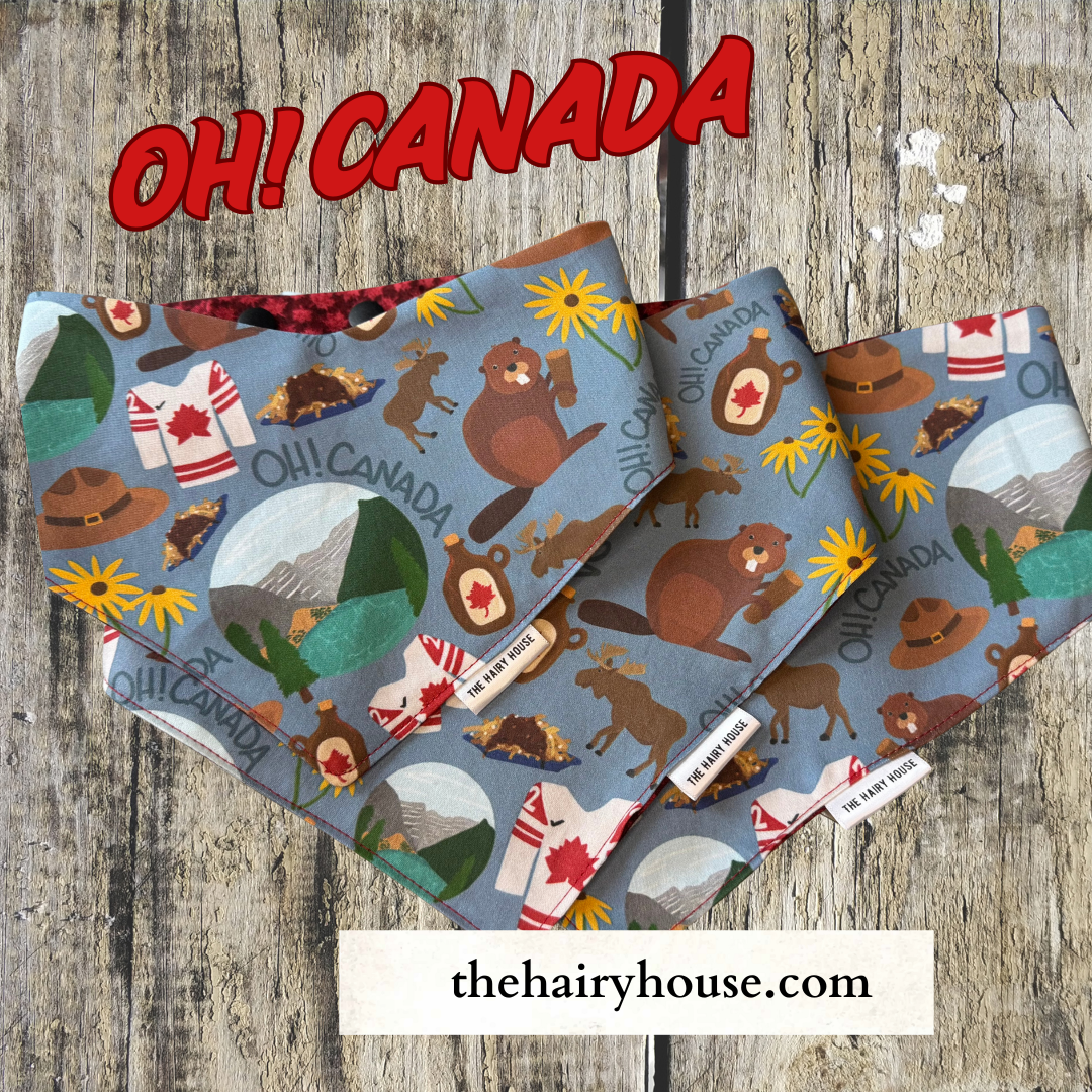 Bandana - OH! CANADA - Dog Bandana - Find us at Pet Valu New Hamburg Ontario