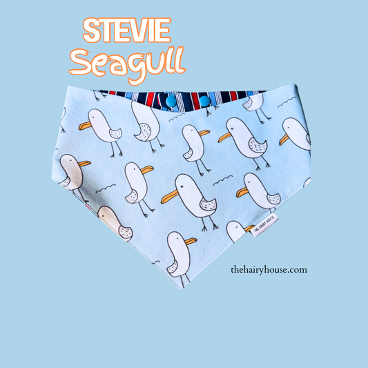 Bandana - STEVIE SEAGULL - Dog Bandana- Shop in person at Pet Valu New Hamburg ON