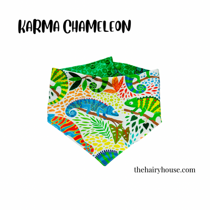 Bandana -  Karma Chameleon - Dog Bandana - Available PetValu New Hamburg