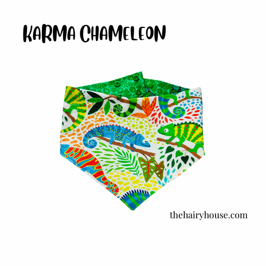 Bandana -  Karma Chameleon - Dog Bandana - discount applied at checkout