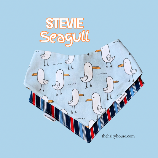 Bandana - STEVIE SEAGULL - Dog Bandana- Shop in person at Pet Valu New Hamburg ON