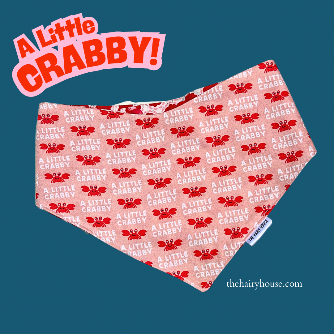 Bandana - A Little CRABBY! Dog Bandana (currently available in store at Pet Valu New Hamburg, Ontario)