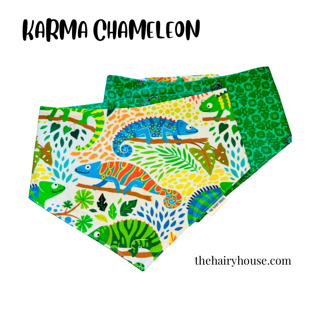 Bandana -  Karma Chameleon - Dog Bandana - Available PetValu New Hamburg