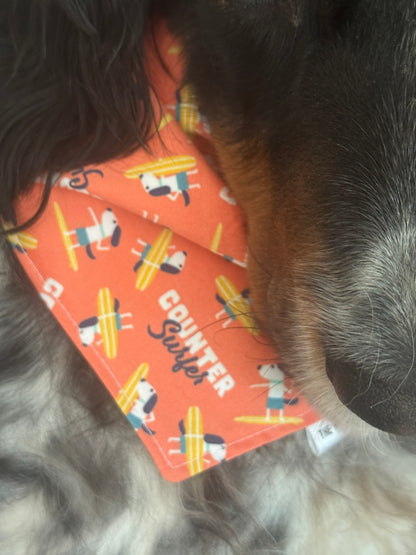Bandana - COUNTER SURFER- Dog Bandana (currently available in store at Pet Valu New Hamburg, Ontario)
