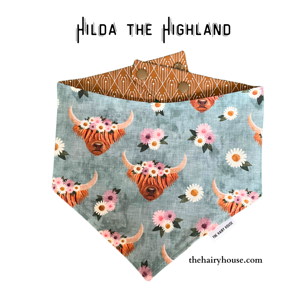 Bandana -  Hilda the Highland - Dog Bandana - Available Pet Valu New Hamburg